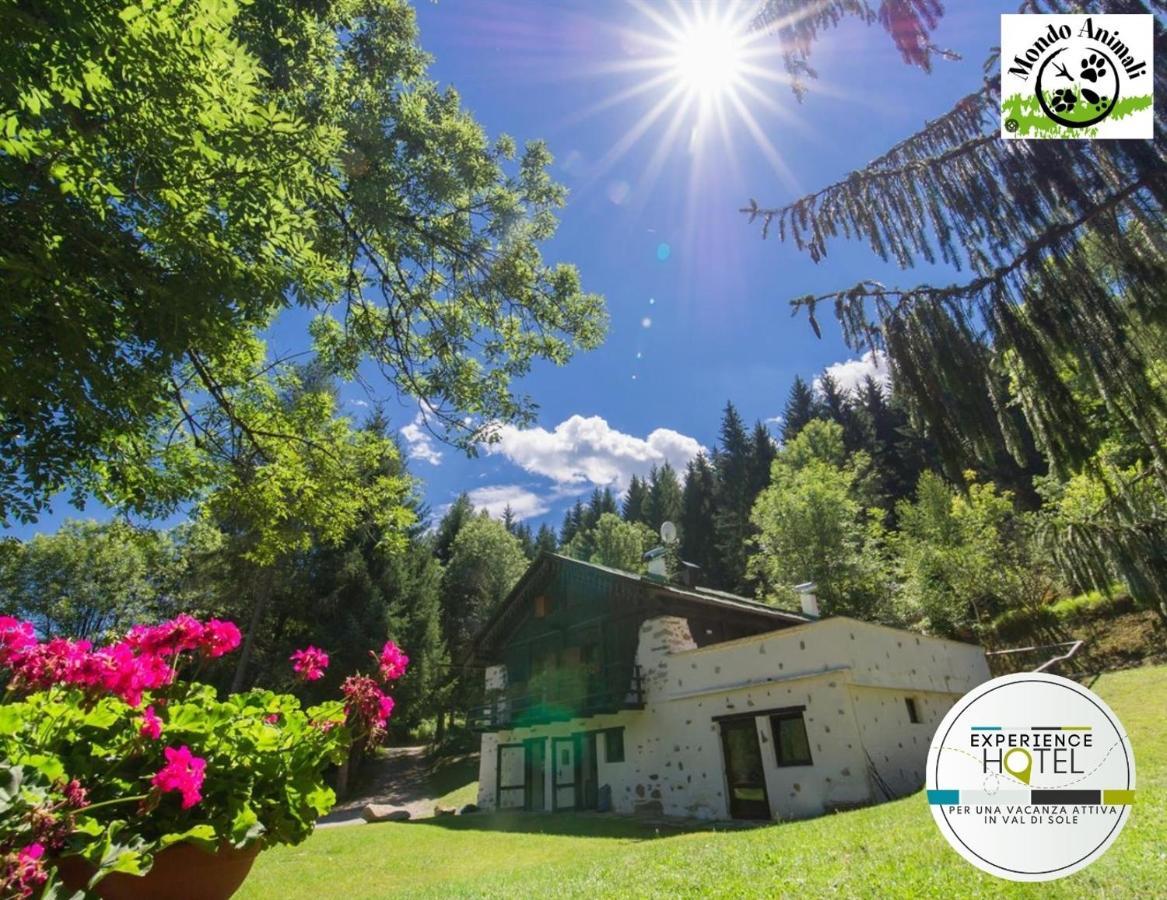 La Locanda Delle Pulci Bio Welness Медзана Экстерьер фото